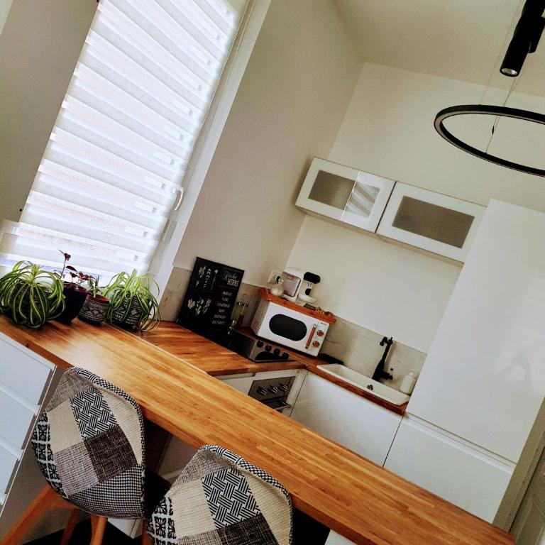 Hôte Stéphanois Studio & parking - Appartement 1 Chambre - 40