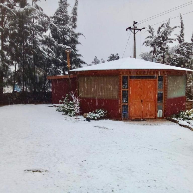 OASIS DEL VALLE DEL ELQUI - One-Bedroom House - 7