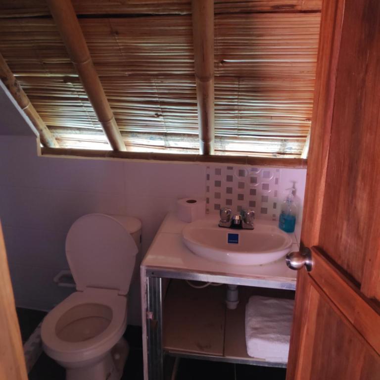 Villa Ester Hostel Vereda Cay - Cabaña de 1 dormitorio - 12