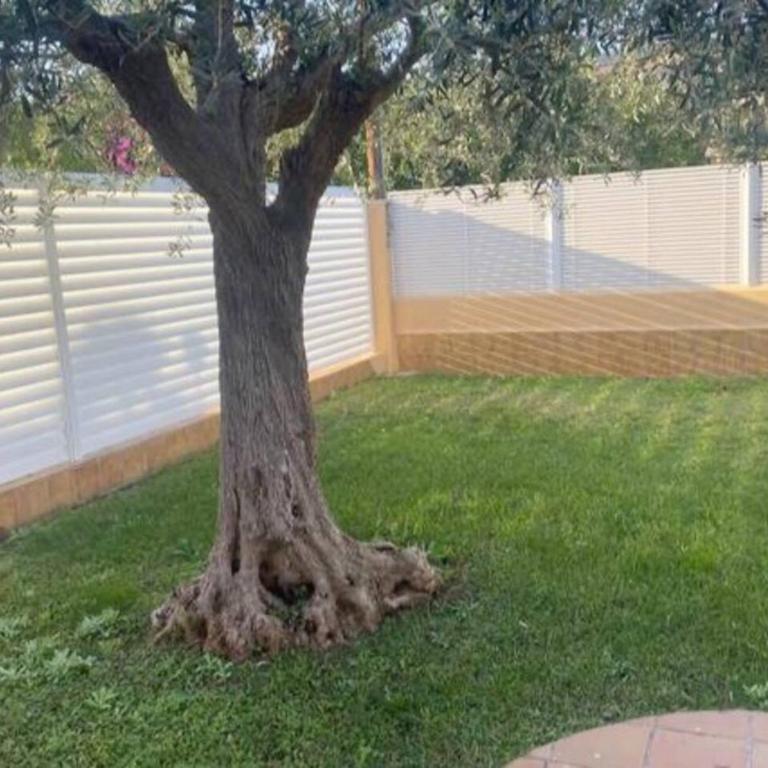 Villa Torreón con piscina privada a 5 min playa - Villa - 27