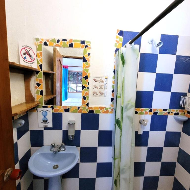 Divanga Hostel and Diving - Twin Room - 5