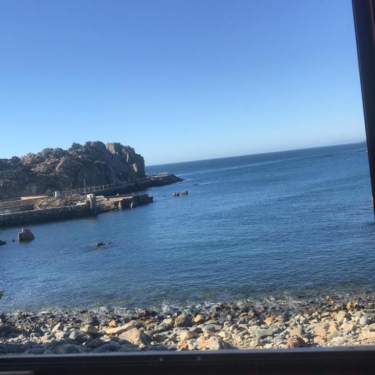 Casa Caleta Vieja Pichidangui - Casa de 3 dormitorios - 24