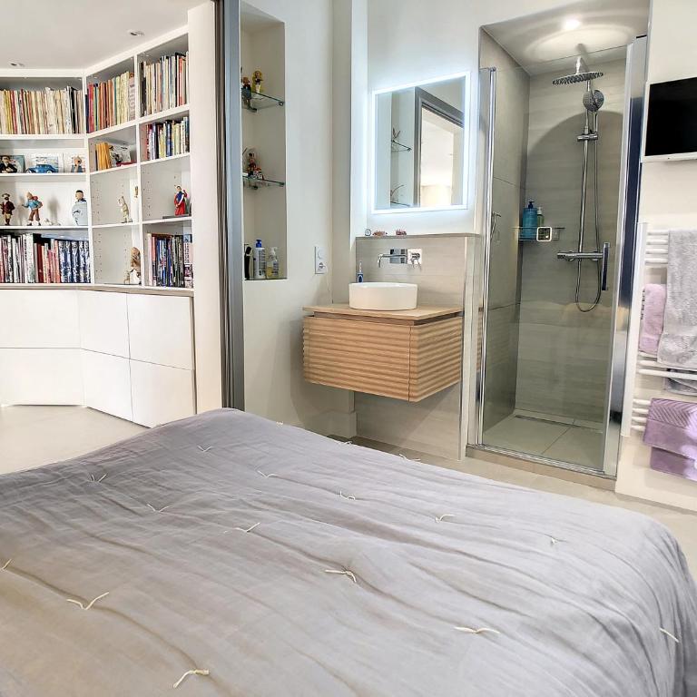 Penthhouse 1 & 2 bedroom apartment 2 mins from the Croisette 335 - Appartement 2 Chambres - 20