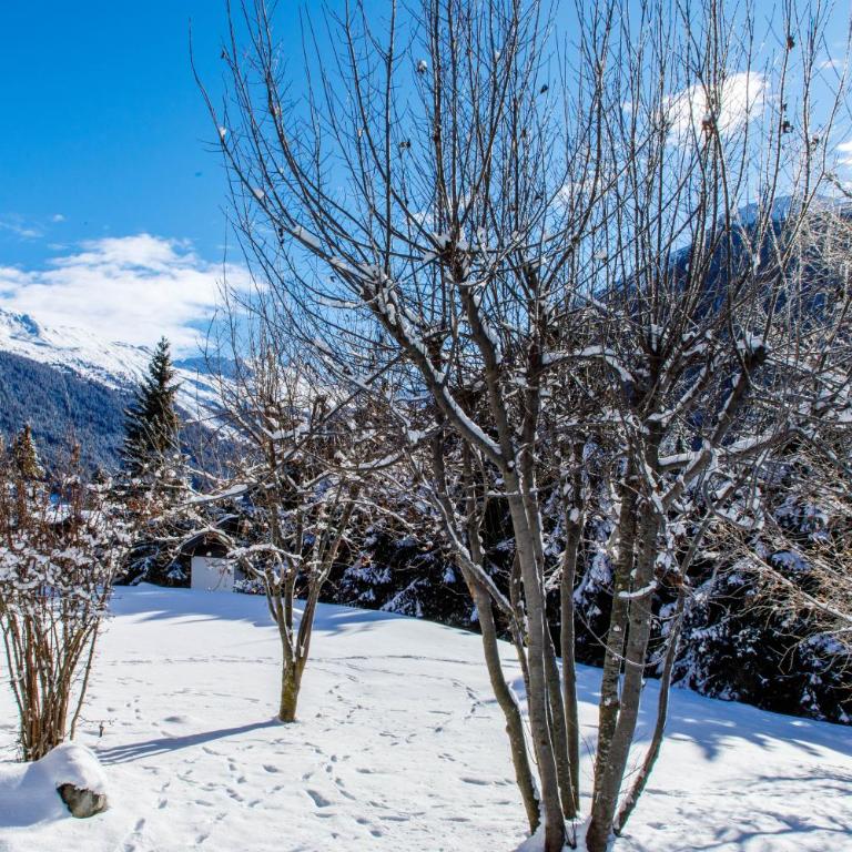 Villa Zentrum Haus Davos - Deluxe Doppelzimmer mit Balkon - 4