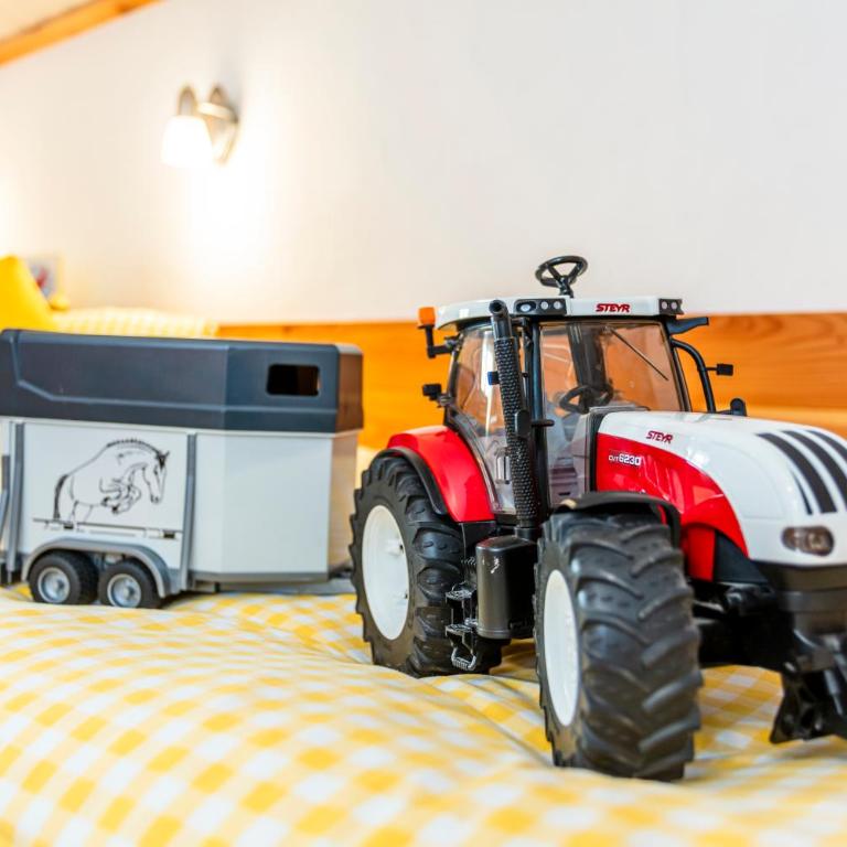 Appartement & Ferienwohnung am Baby & Kinderbauerhof Stefflhof - Apartment mit 2 Schlafzimmern und Aussicht - 12