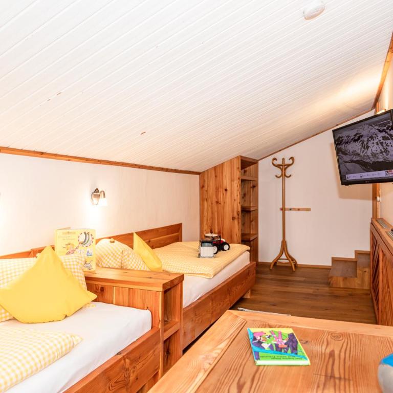 Appartement & Ferienwohnung am Baby & Kinderbauerhof Stefflhof - Apartment mit 2 Schlafzimmern und Aussicht - 9