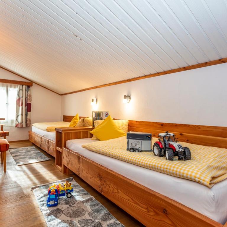 Appartement & Ferienwohnung am Baby & Kinderbauerhof Stefflhof - Apartment mit 2 Schlafzimmern und Aussicht - 10