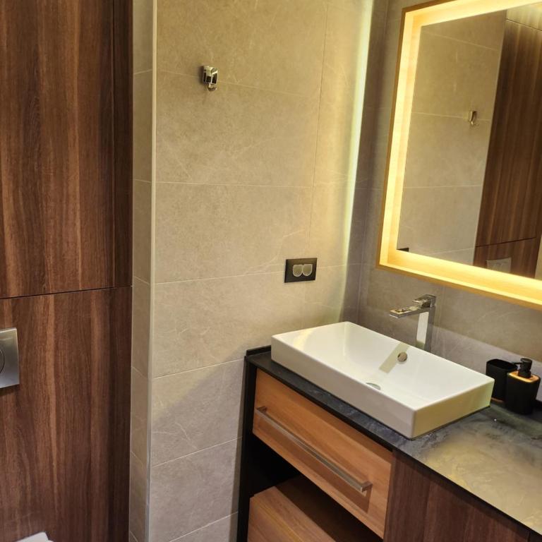 Kopaonik Woodside - Apartman sa Pogledom na Planinu - 21