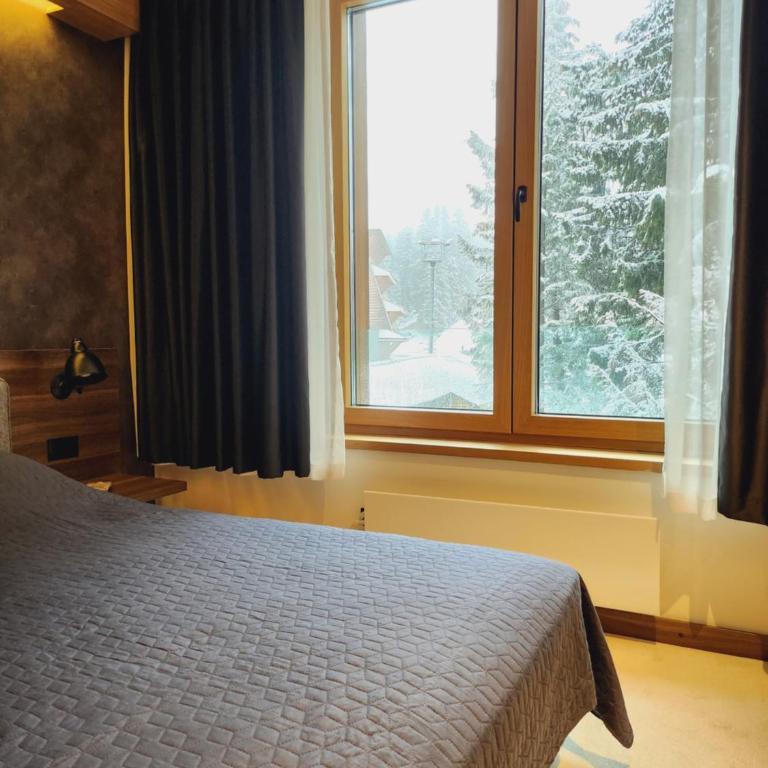 Kopaonik Woodside - Apartman sa Pogledom na Planinu - 1