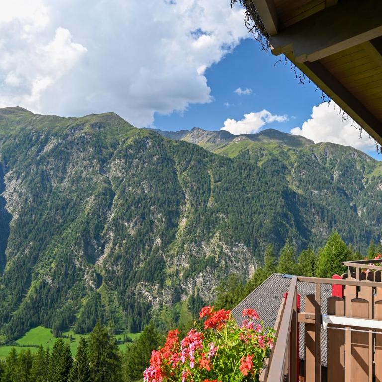Pension Sonnleitner - Doppelzimmer mit Bergblick - 8