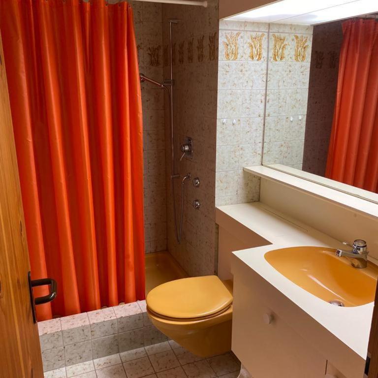 Lovely 1-bedroom apartment in the heart of Davos - Studio - 5