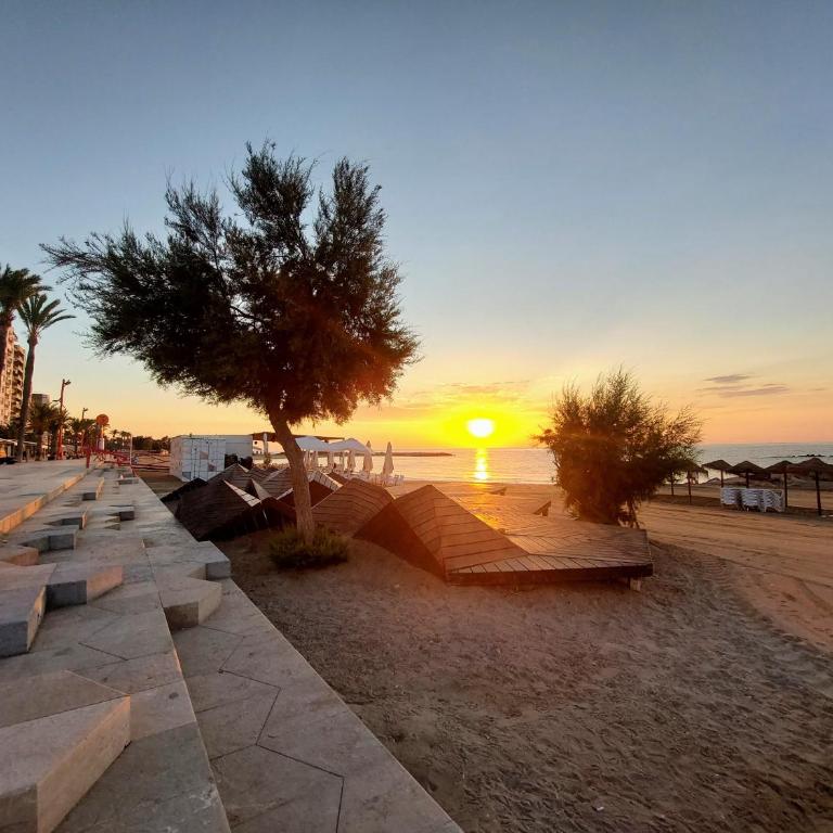 Apartamento Junto Al Mar - One-Bedroom Apartment - 1