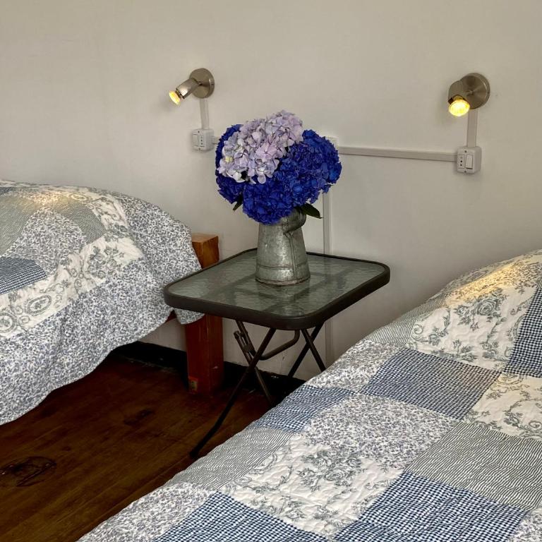 La Guapa Hostel - Twin Room with Shared Bathroom - 1
