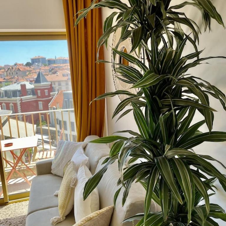 Superb top floor studio, Biarritz center. - Studio - 3