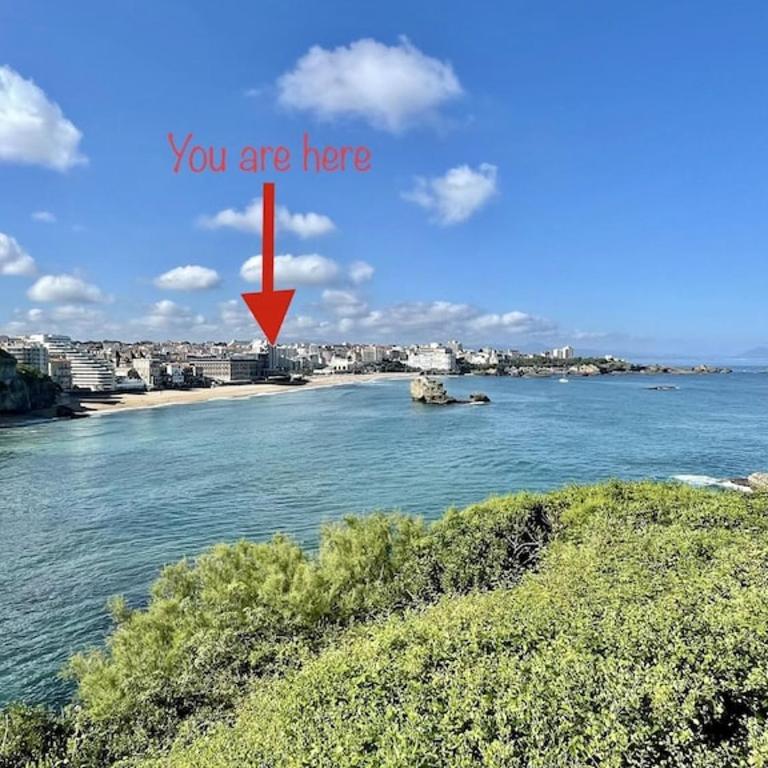 Superb top floor studio, Biarritz center. - Studio - 17