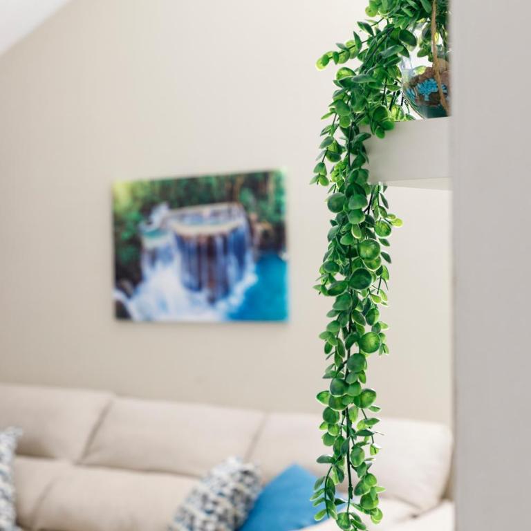 Elly's Home [Parcheggio Privato] - Appartamento con 1 Camera da Letto - 2