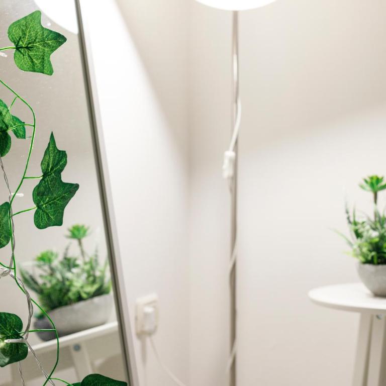 Elly's Home [Parcheggio Privato] - Appartamento con 1 Camera da Letto - 18