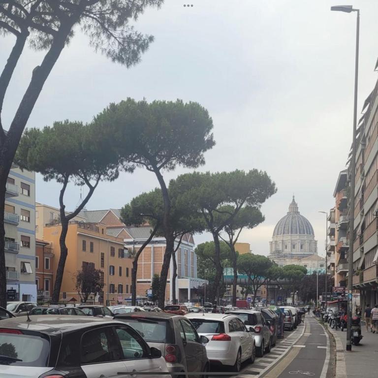 Vatican Inside Apartment - Appartamento con 2 Camere da Letto - 12
