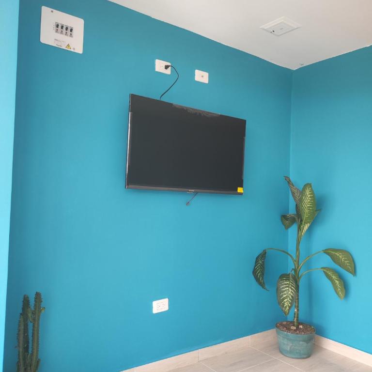 Apartamento portal del prado - Apartamento de 3 dormitorios - 6