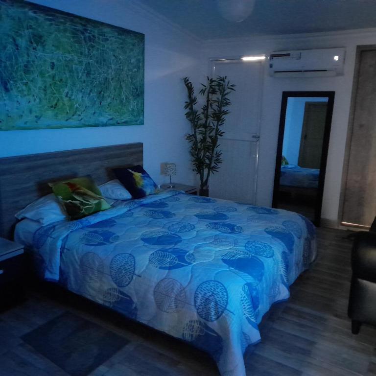 APTO 11 CALI - sur - Apartamento de 1 dormitorio - 3