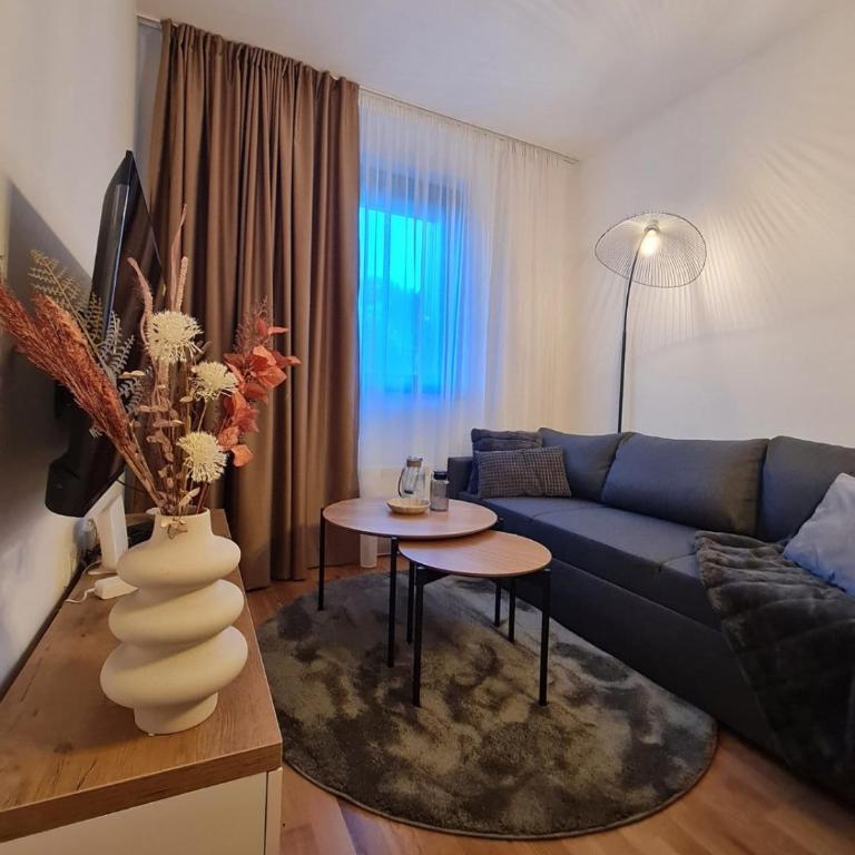 Maxx Apartmani Obucina Kapije - One-Bedroom Apartment - 1