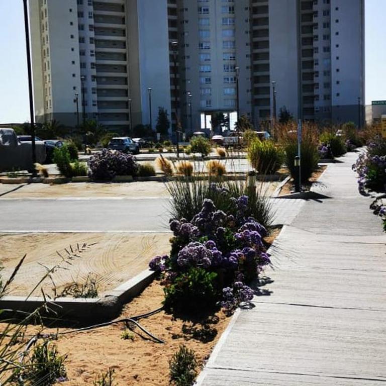 Laguna Del Mar La Serena boutique - Apartment with Sea View - 17