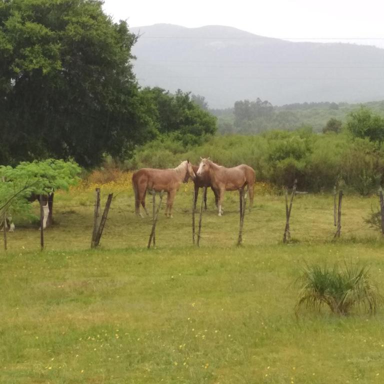 Casa completa para 12 personas - El Encuentro, Mar y Sierras - Three-Bedroom House - 4