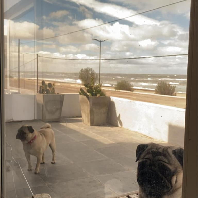 CASA AL LADO DEL MAR - Four-Bedroom House - 2