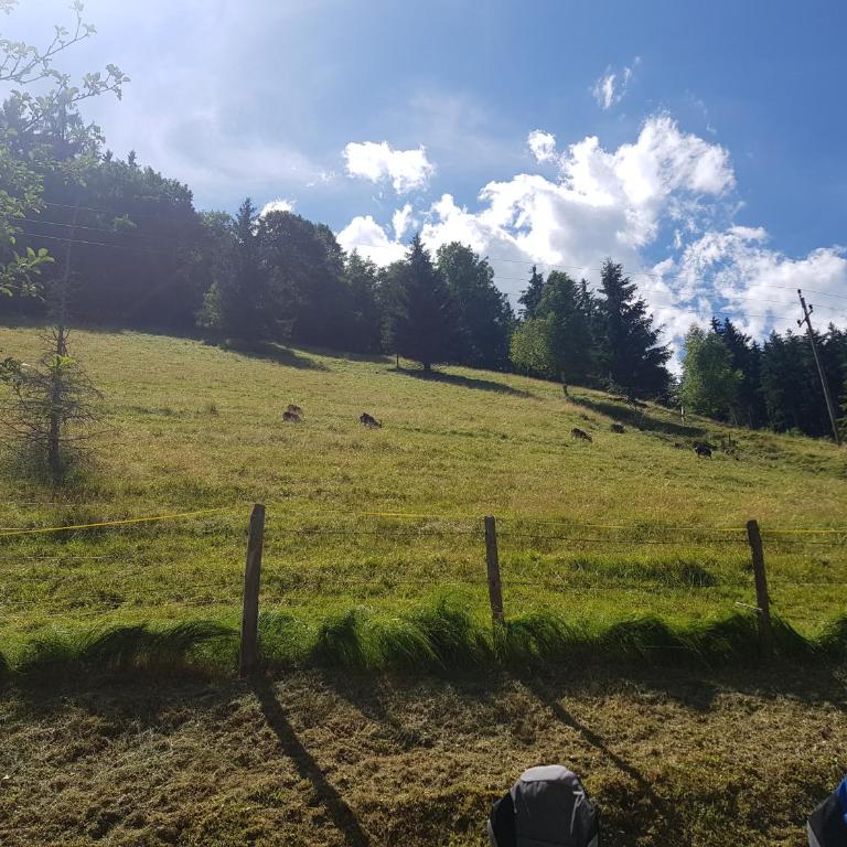 Ferienhaus Gastein - Chalet - 38