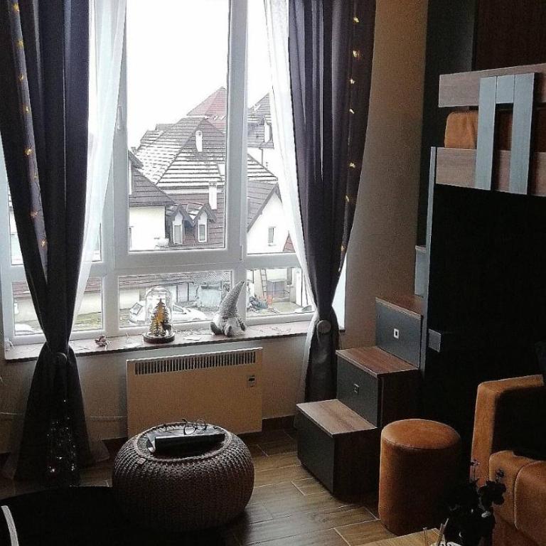 MIR i LIRA apartmani Kopaonik - Deluxe Studio - 8