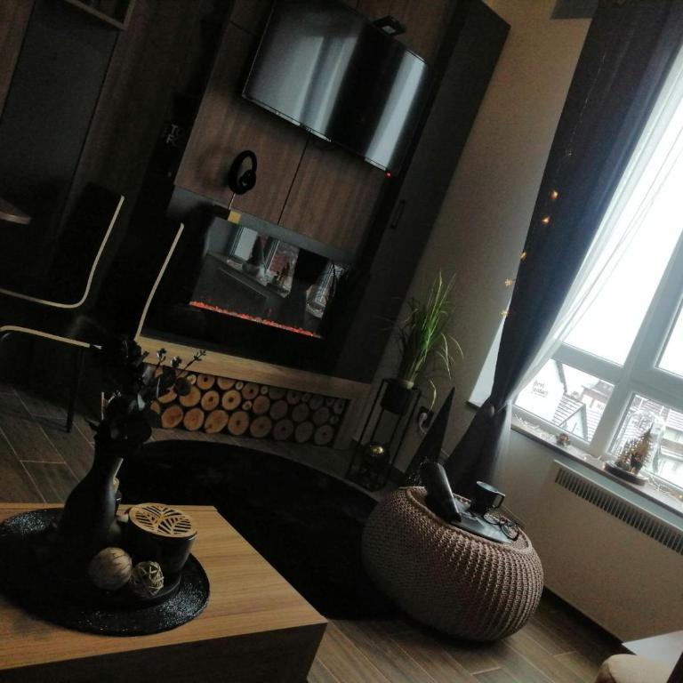 MIR i LIRA apartmani Kopaonik - Deluxe Studio - 7