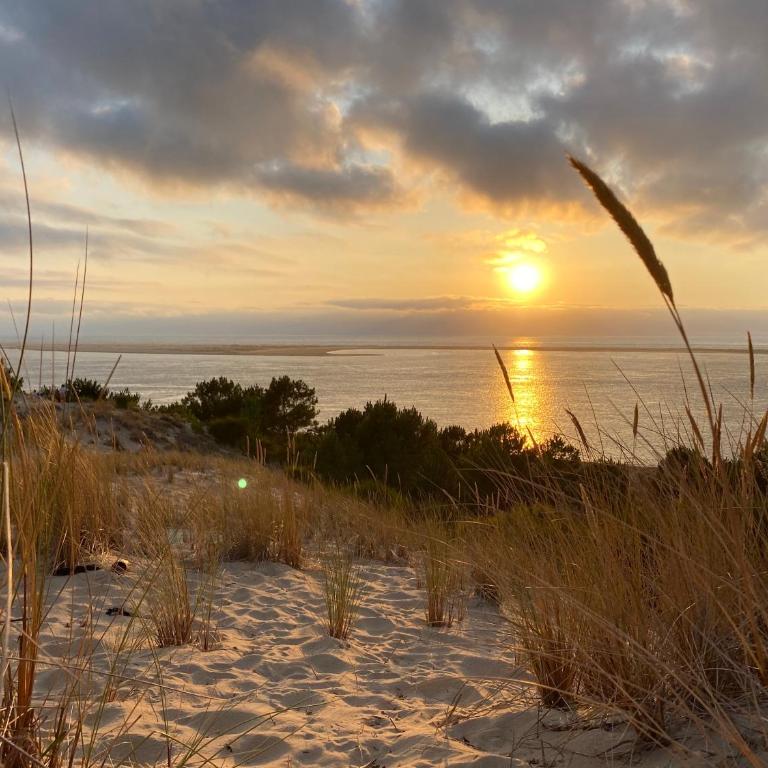 Bel appartement sur le bassin d'Arcachon, à 2km de la mer - Apartment mit 1 Schlafzimmer - 14