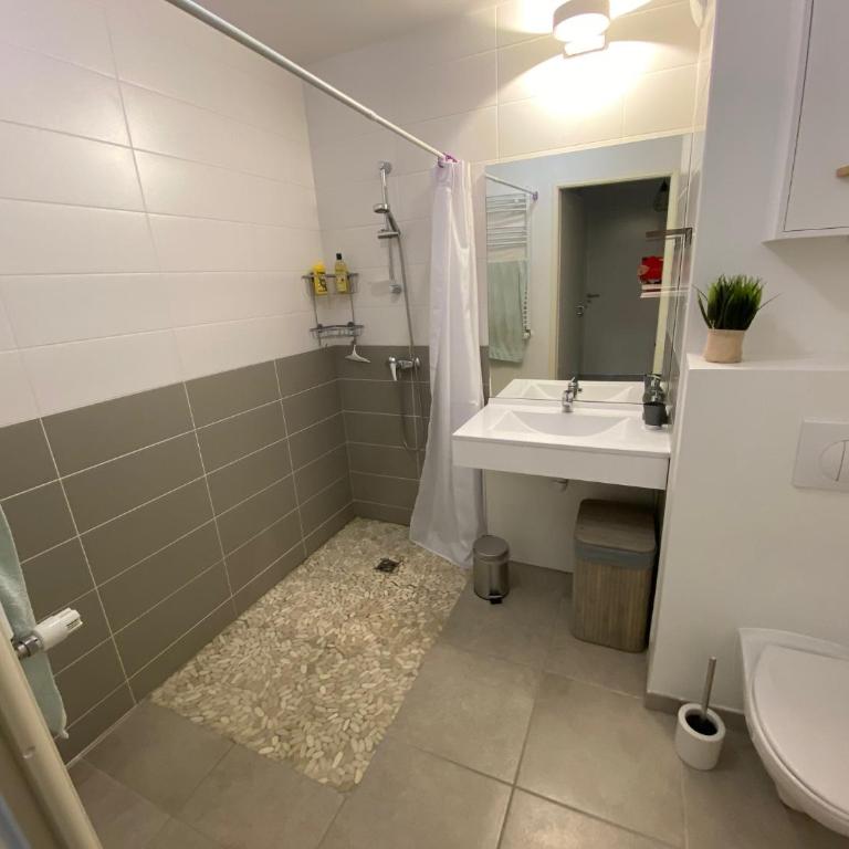 Bel appartement sur le bassin d'Arcachon, à 2km de la mer - Apartment mit 1 Schlafzimmer - 9