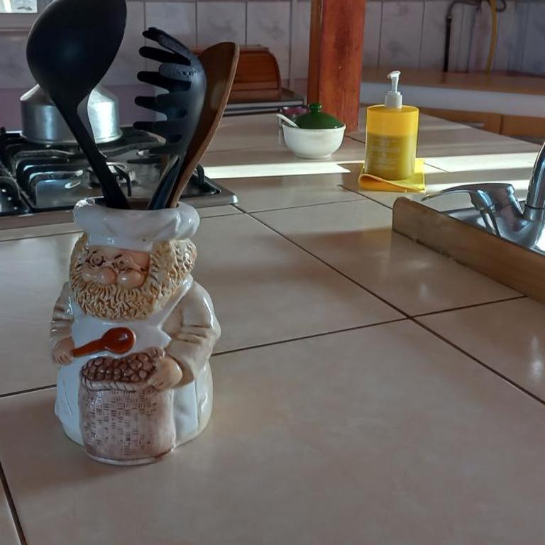 Paihuano - Chalet de 1 dormitorio - 12