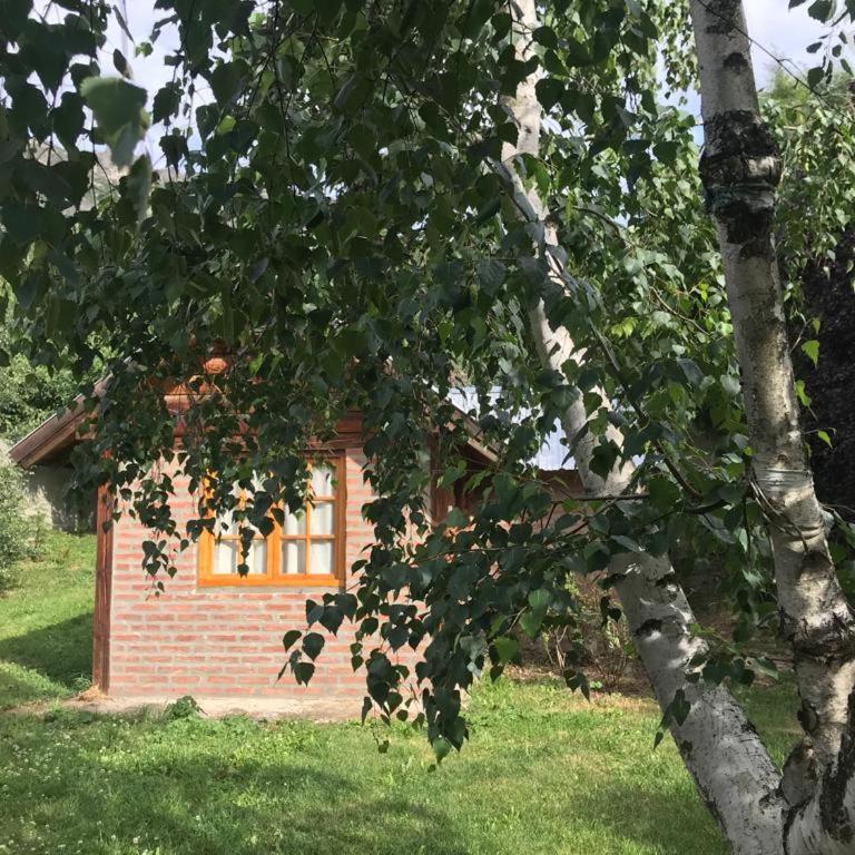Cabañas del Alba - Chalet - 1