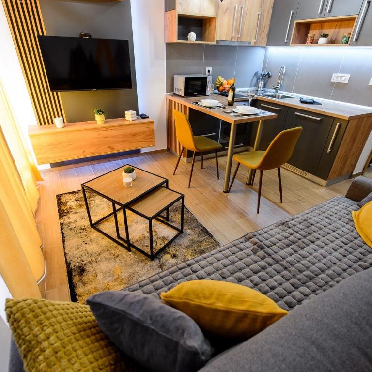 Studio Šišarka Divčibare - Deluks Studio - 1