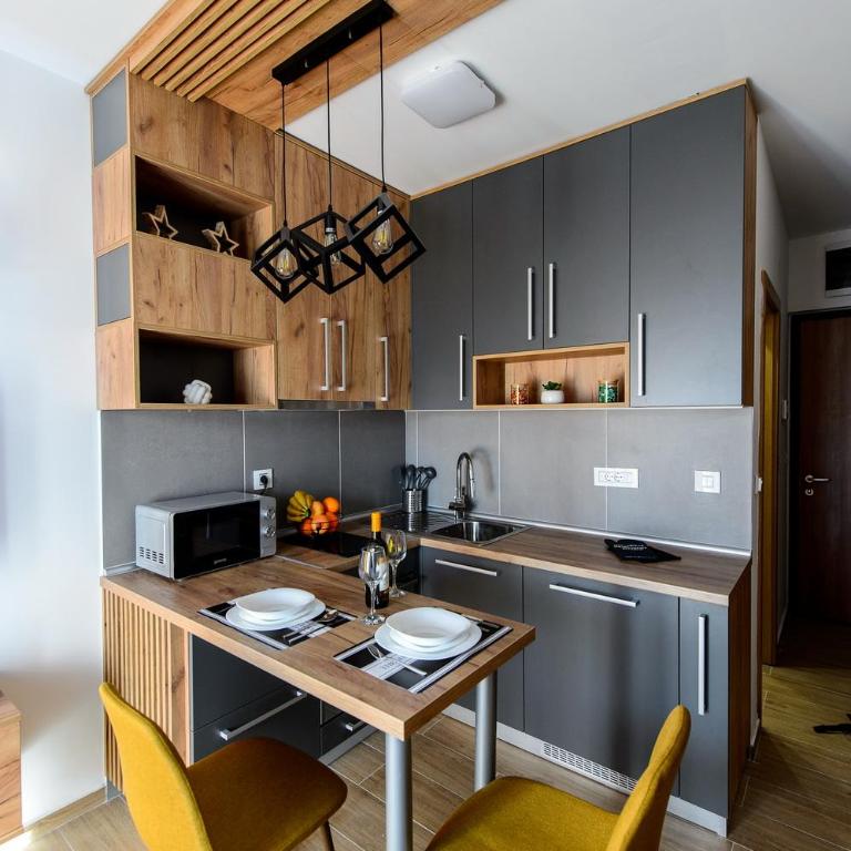 Studio Šišarka Divčibare - Deluks Studio - 9