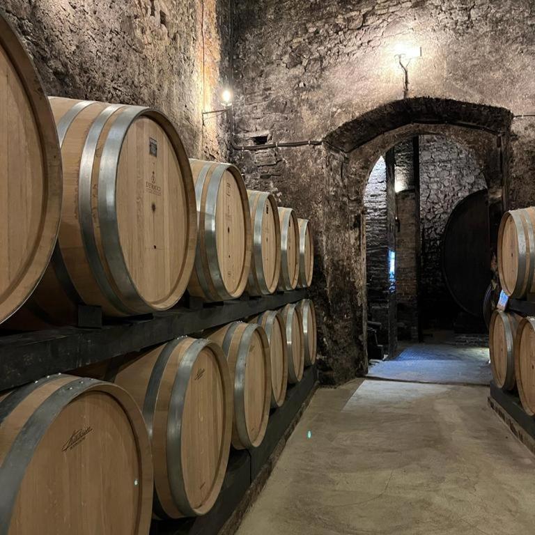 La finestra - centro storico Montepulciano, casa panoramica. - Casa con 1 Camera da Letto - 31