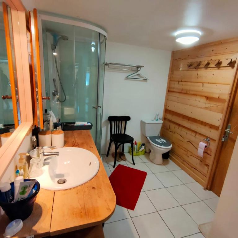 La Duchère 6 personnes Le Plan La Giettaz - Appartamento con 2 Camere da Letto - 26