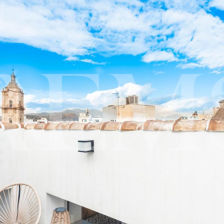 Penthouse with private rooftop in the heart of Malaga by REMS - Apartamento con terraza - 13