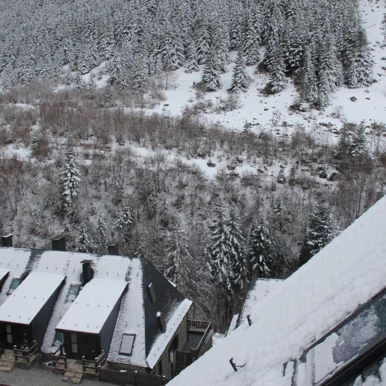 ESCORNACRABES de Alma de Nieve - Apartamento - 28