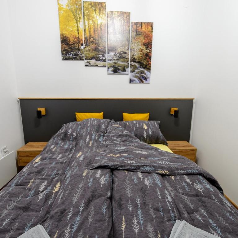 Apartman Šišarka Divčibare - Apartman sa 1 Spavaćom Sobom - 7