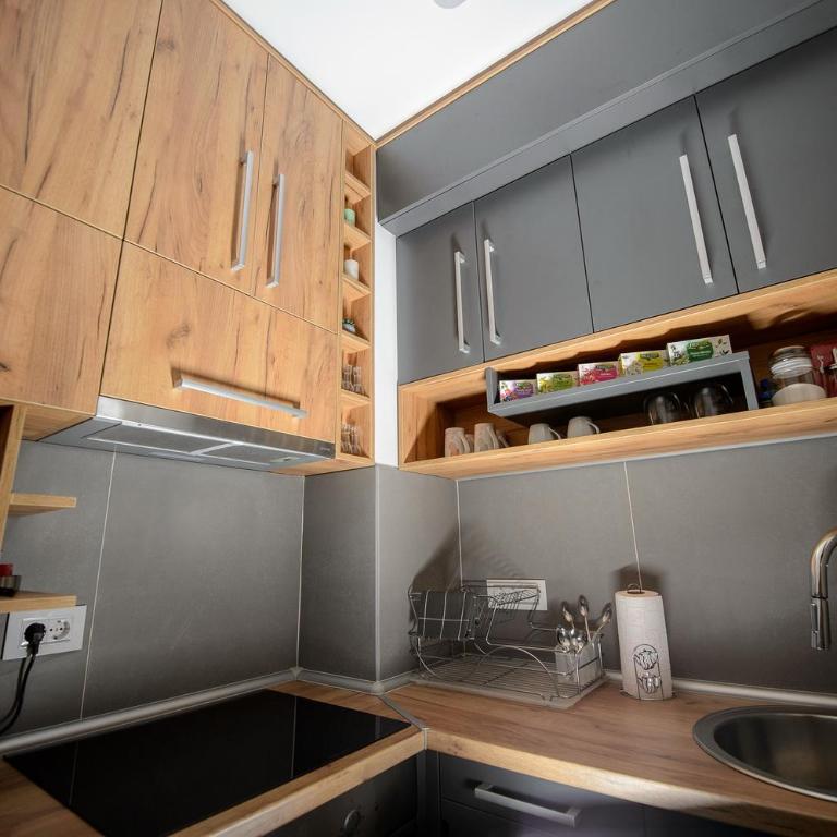 Apartman Šišarka Divčibare - Apartman sa 1 Spavaćom Sobom - 15