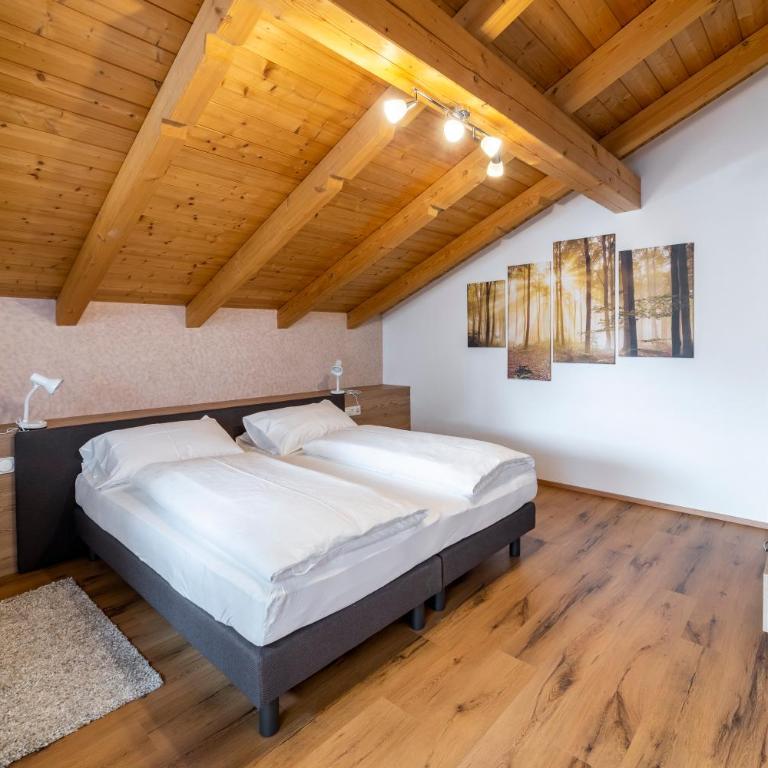 Apartments Gasser - Appartamento con 3 camere da letto e doccia - 1