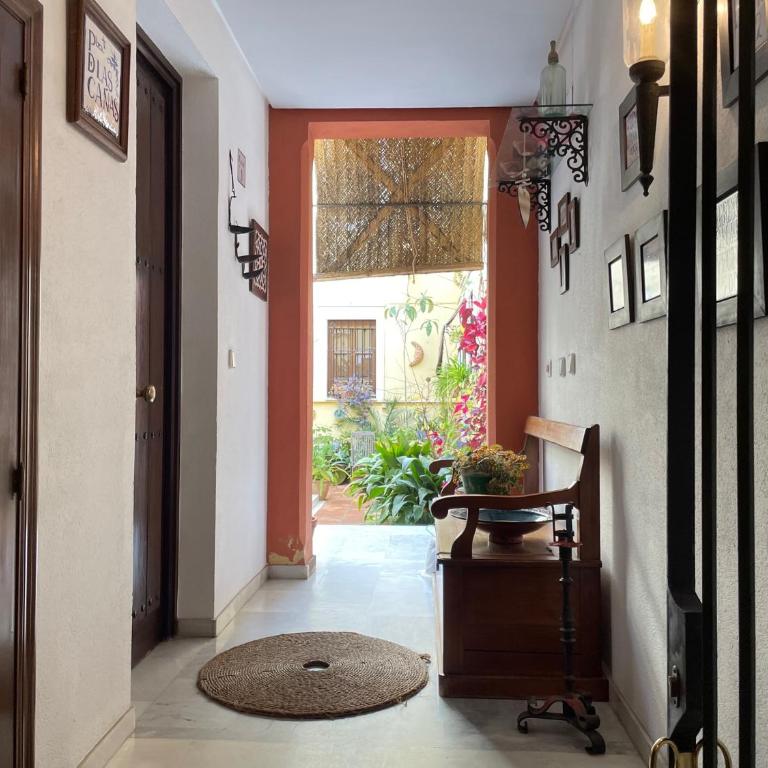Geysotur Casa Terraza Judería - Apartamento de 3 dormitorios - 11