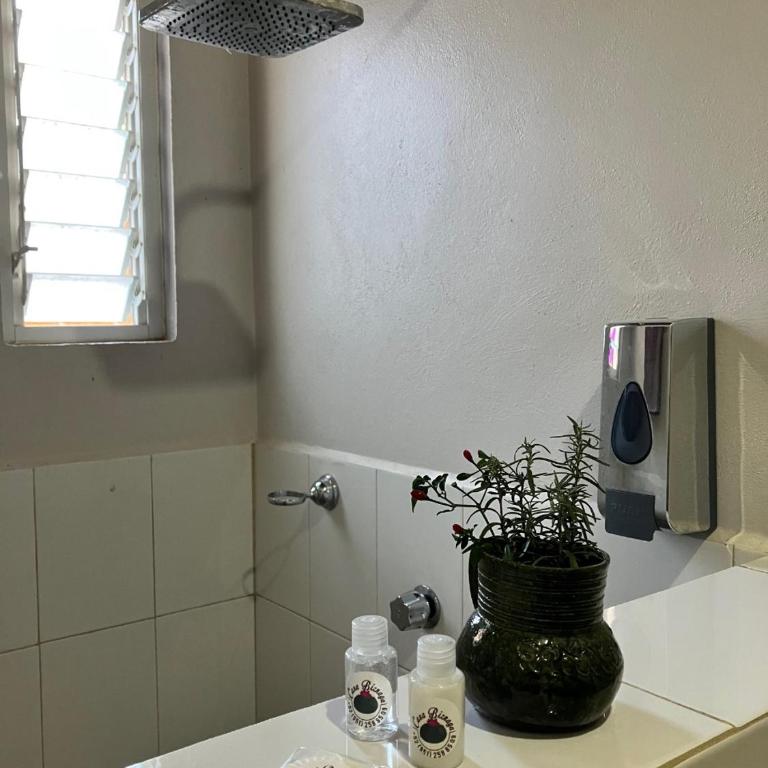 Casa Biznaga - Habitación Doble Deluxe con ducha - 2