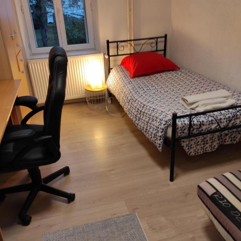 Appartement calme dans quartier résidentiel. - Appartement 1 Chambre - 2