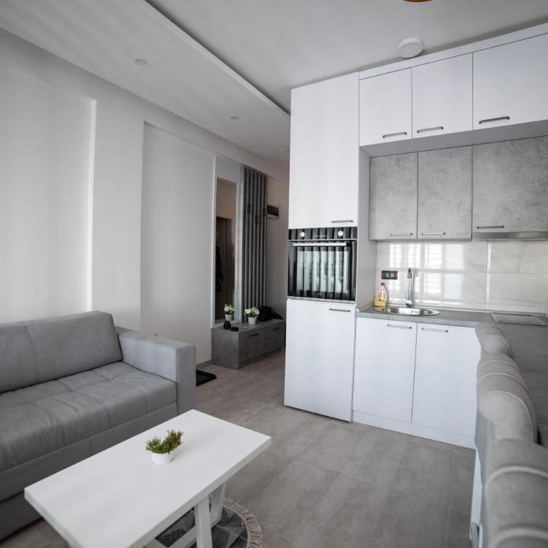 NLux 10 Apartment - One-Bedroom Apartment - 10