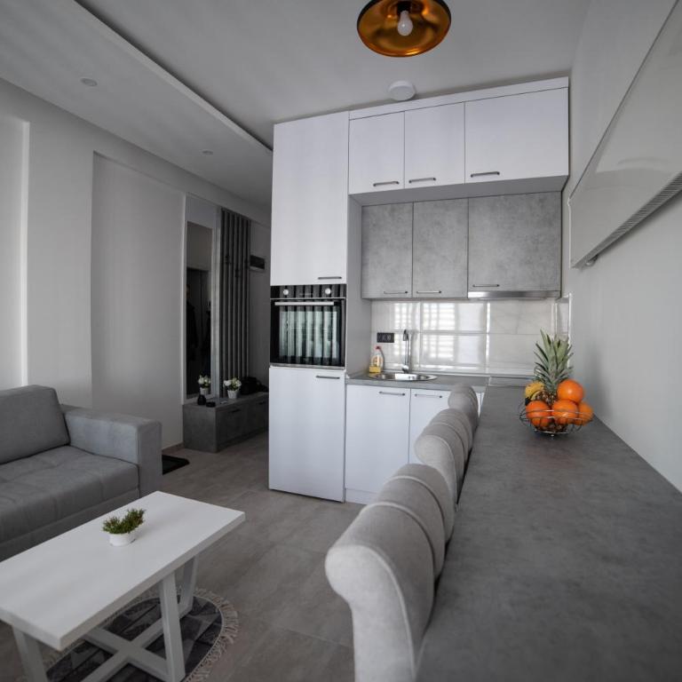 NLux 10 Apartment - One-Bedroom Apartment - 11