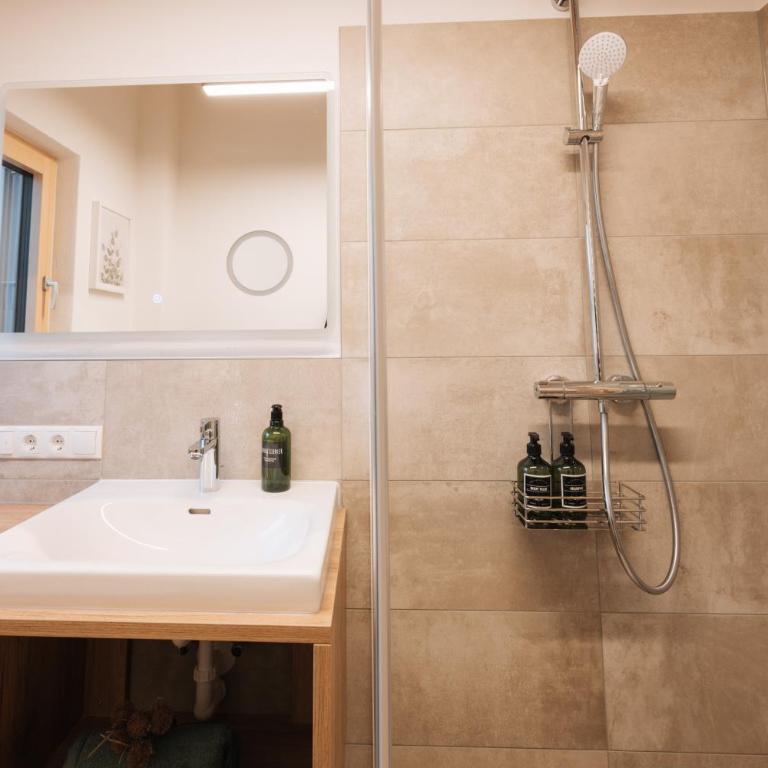 Die Wiesen Apartments - Appartamento con 1 Camera da Letto - 4